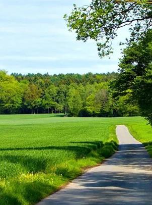 BG大游·(集团)视讯官方网站